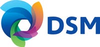 DSM Logo.jpg