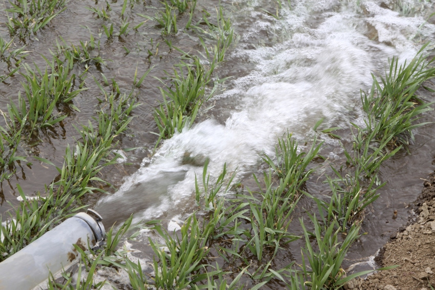 New USGS filter removes phosphorus from wastewater