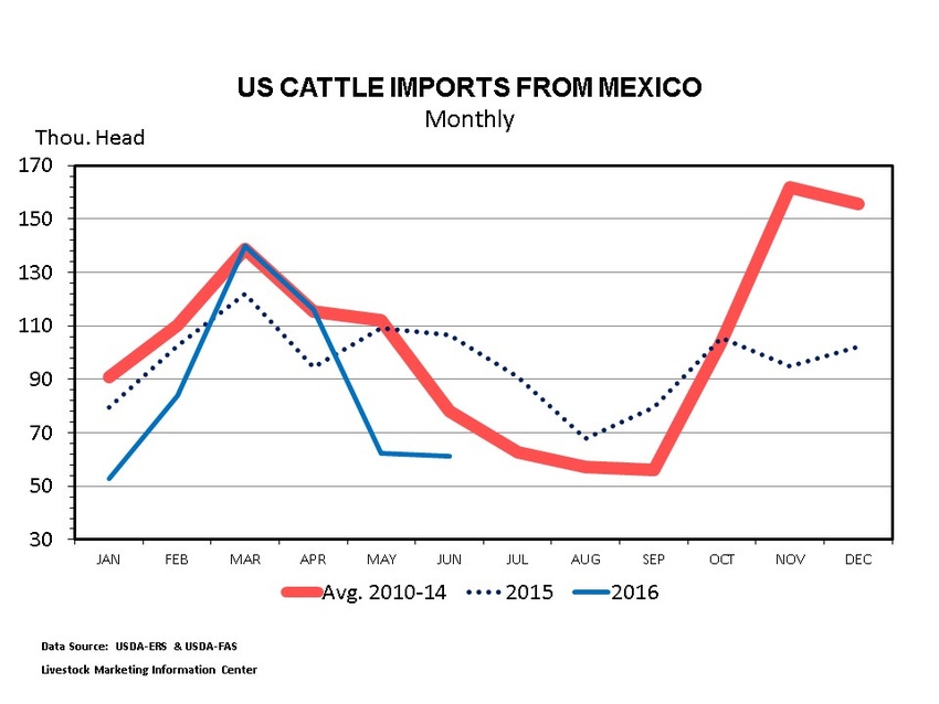 LIVESTOCK MARKETS: Live feeder cattle imports decrease