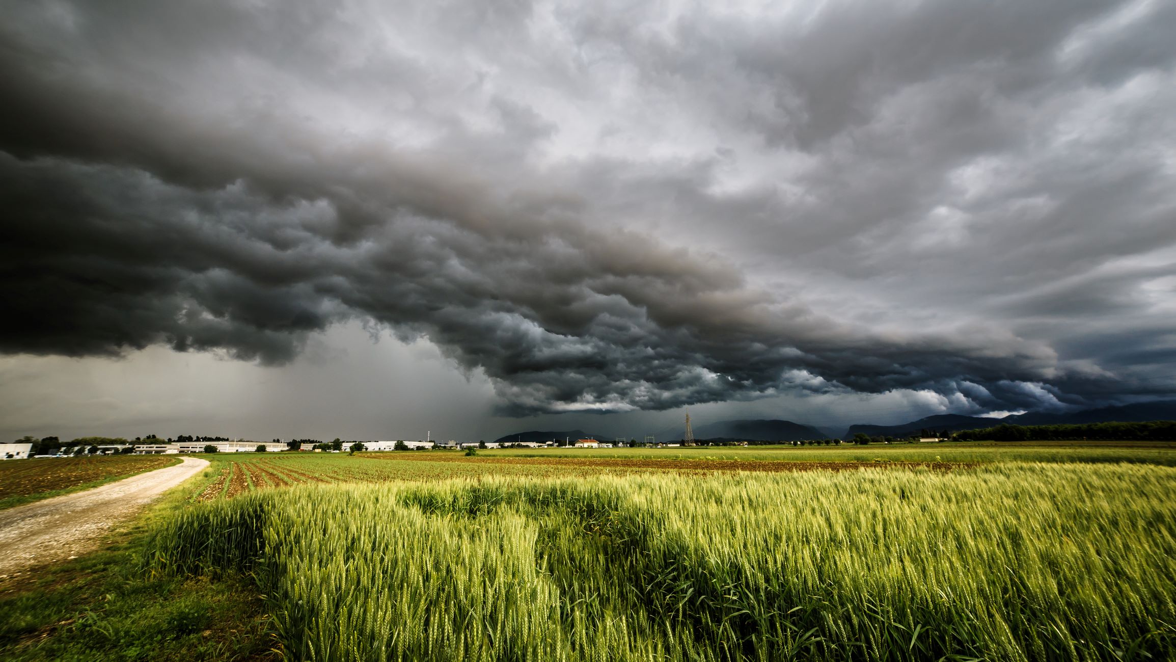 USDA joins FarmRaise to offer online livestock disaster decision tools - Vimarsana News