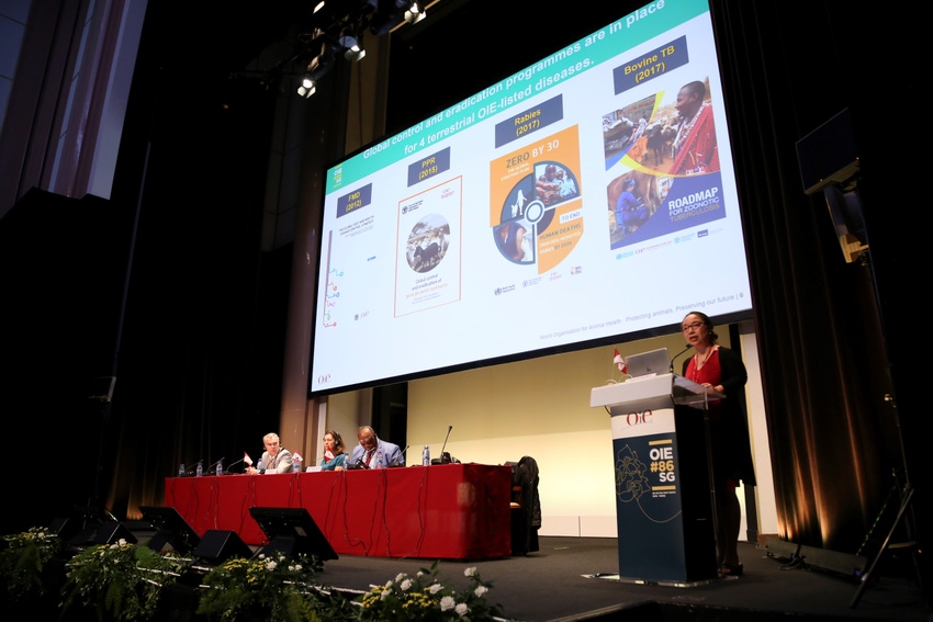 OIE presents state of global animal health situation