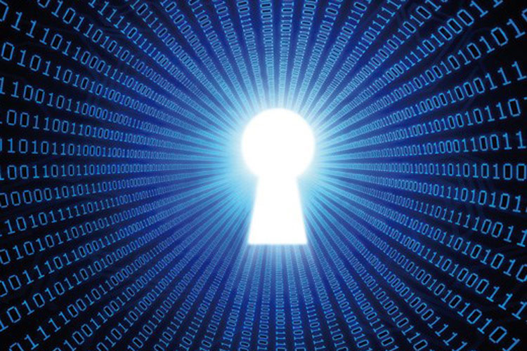 The Business Case: Why cyber security matters