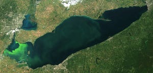 Experts predict smaller Lake Erie algal bloom this summer