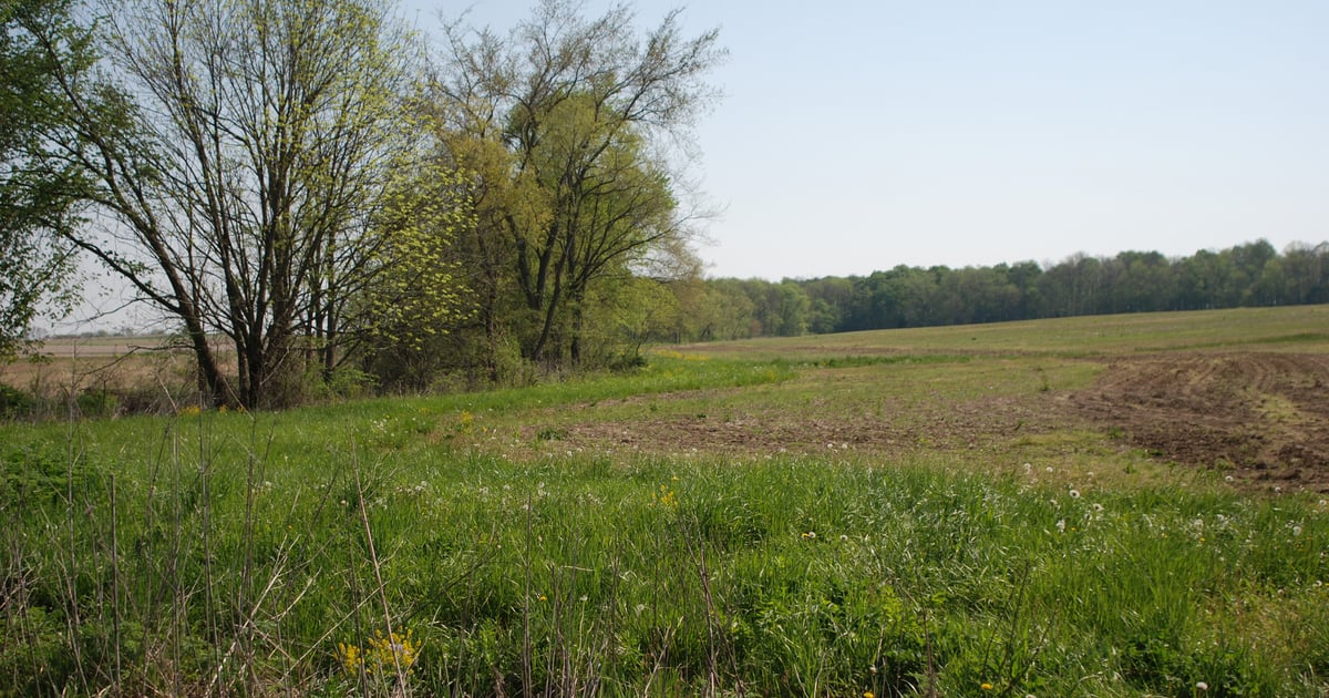 NGFA submits comments on farm bill conservation provisions