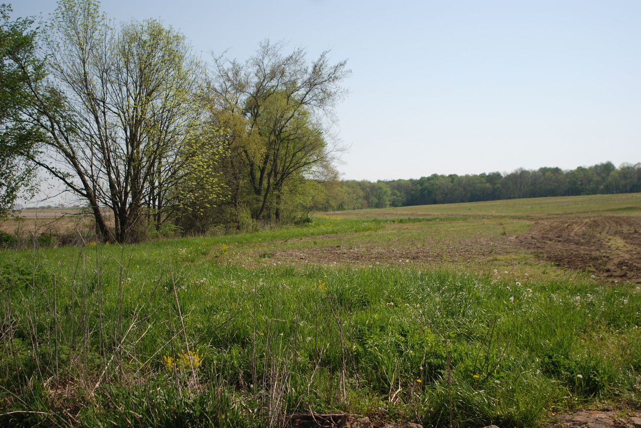 NGFA submits comments on farm bill conservation provisions
