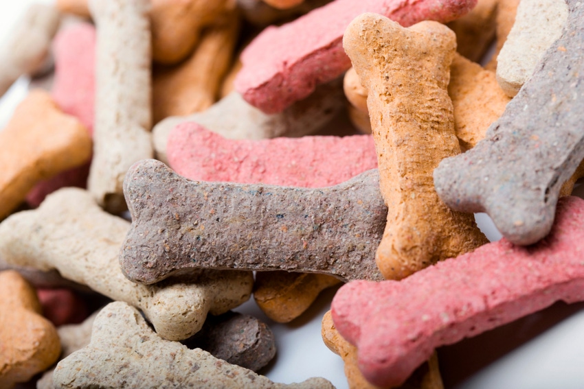 Coursework offered in pet food manufacturing, nutrition