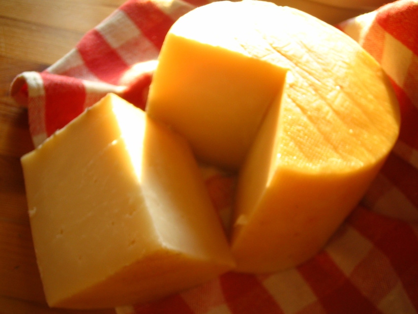Is FDA really gagged on cheese?