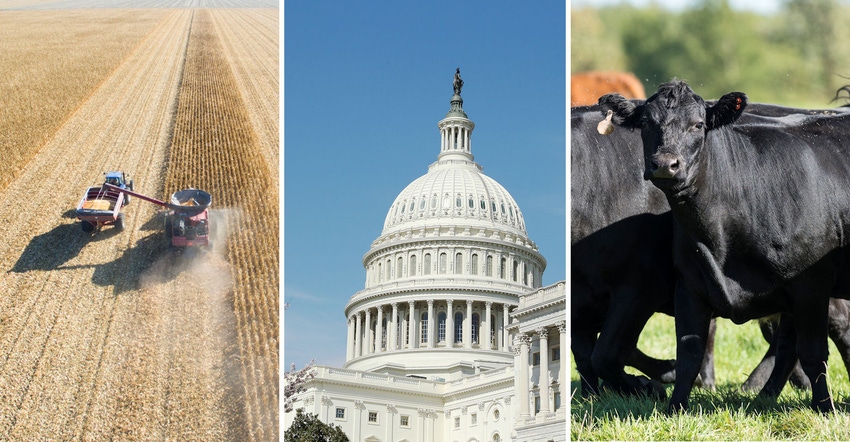 Collage with corn harvest, capitol building and angus beef cattle