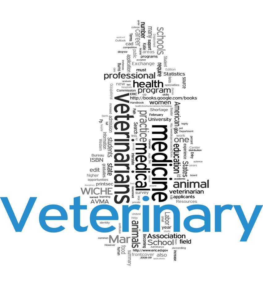 Paper reviews food animal veterinarian recruitment, retention