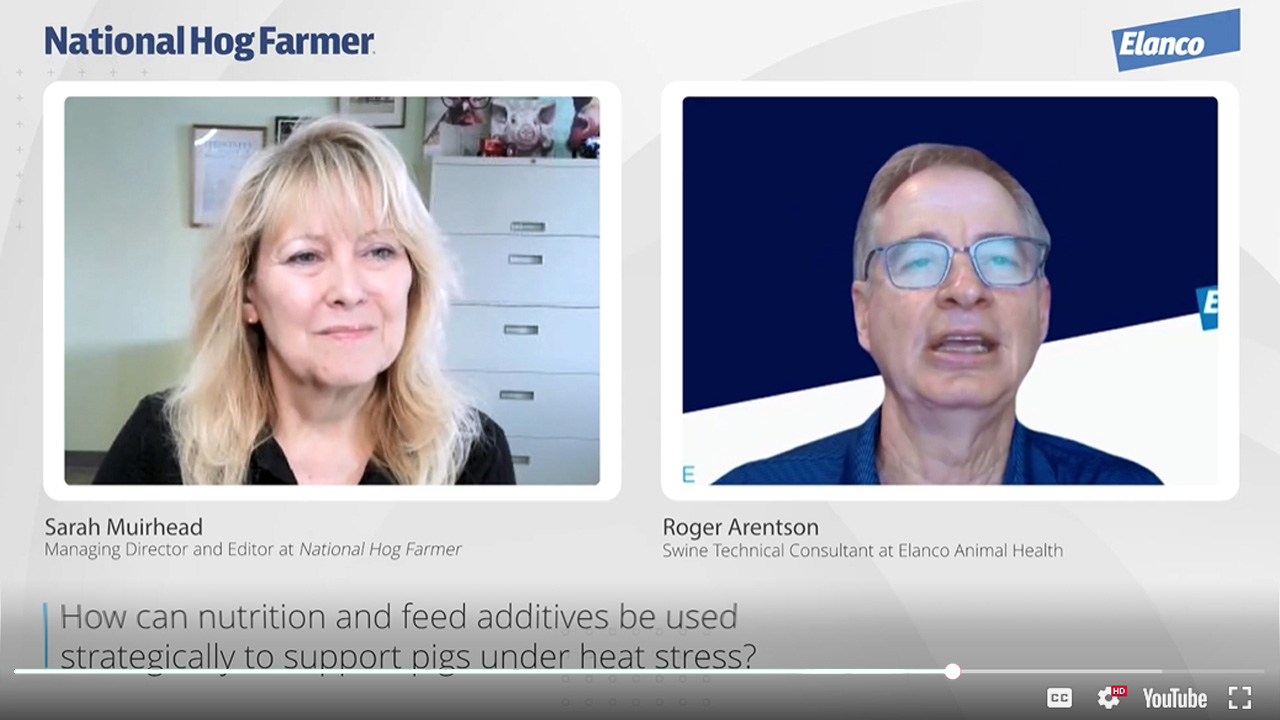 NHF FastChat with Elanco Animal Health