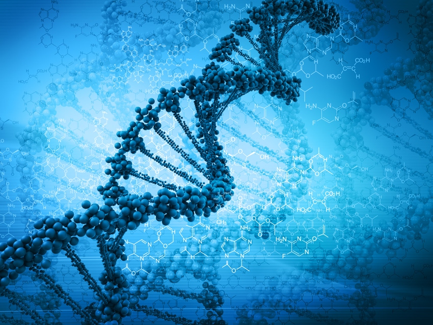 USDA won’t regulate genome editing