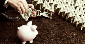 piggybank in field of dollar bills_FDS_Aluxum_iStock_Getty Images-185248185.jpg