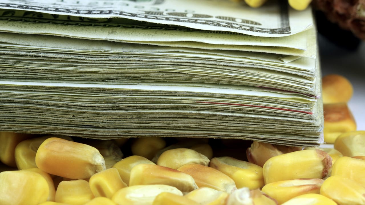 Corn Money Ingredient Market Prices recent news | Feedstuffs