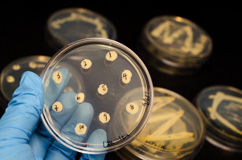 Whole-genome sequencing may better target AMR