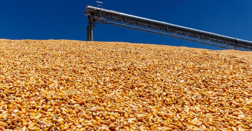Corn and Grain Handling or Harvesting Terminal. 