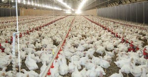 Broiler houses add diversification to midwest farm
