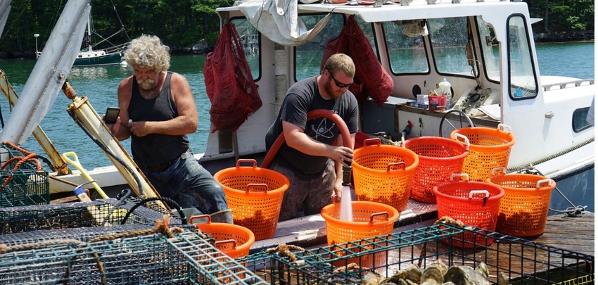NOAA awards $9.3m to support aquaculture research