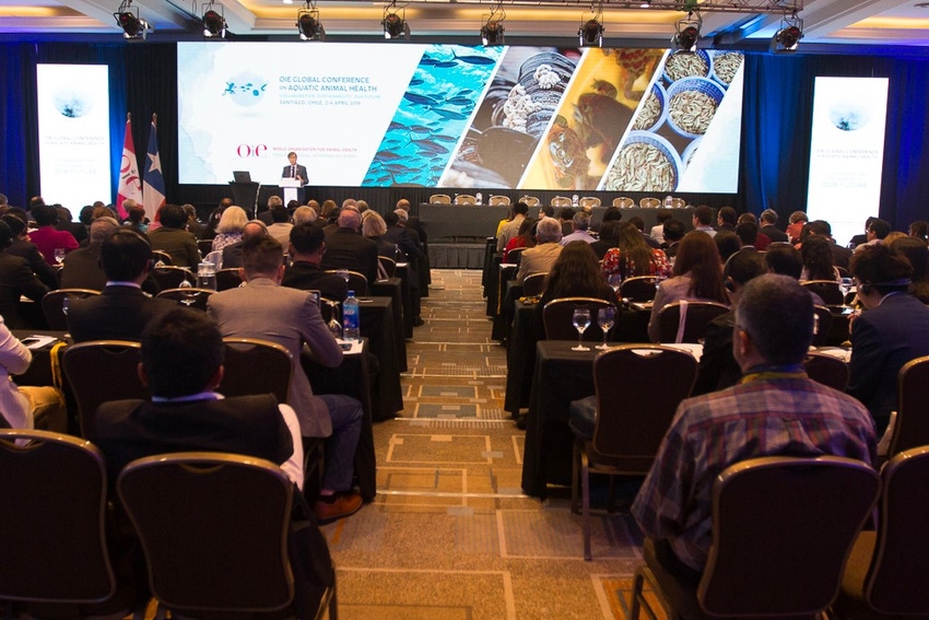 OIE Global Conference on Aquatics.jpg