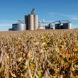 AGP plans new soybean processing facility in Dakotas AGP plans new soybean processing facility in Dakotas