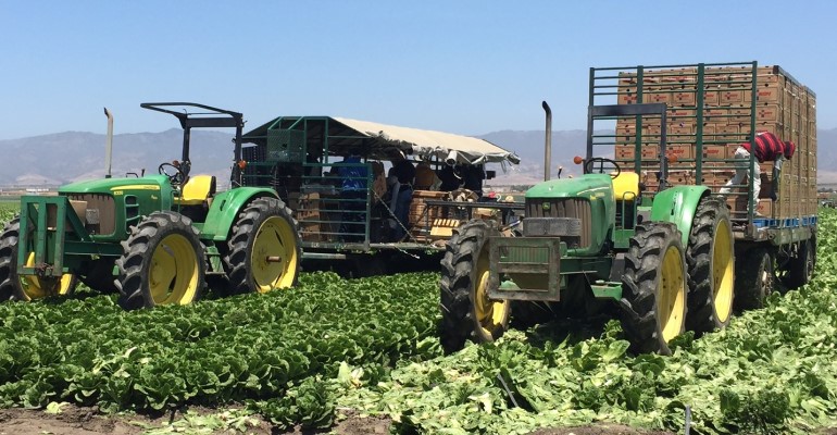 FDA warns consumers against eating romaine lettuce