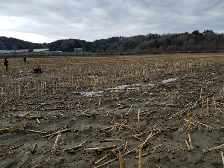 Manure decisions extend beyond growing season to influence GHG emissions