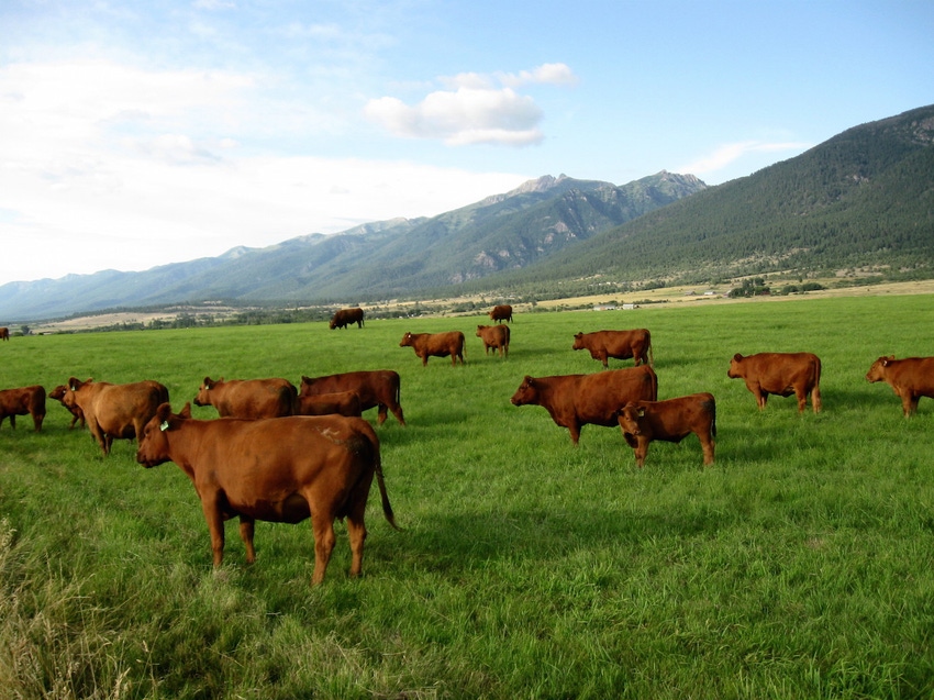 PASTURE Act allows for emergency haying, grazing