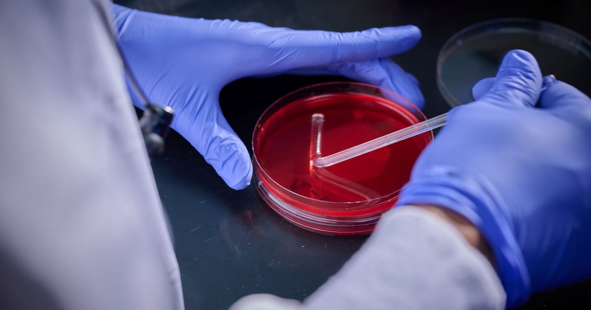 Plant-based antimicrobial shows promise in poultry production