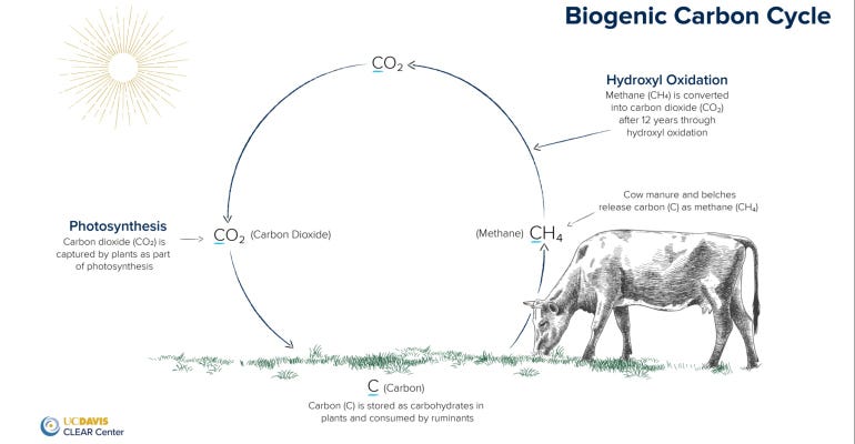 Biogenic Carbon Cycle UC Davis.jpg