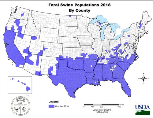 2018-feral-swine-distribution-map.jpg
