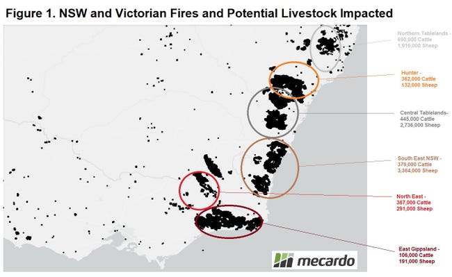 australia livestock fires.jpg