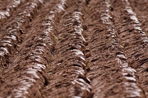DanoneWave commits $6m to launch soil health initiative