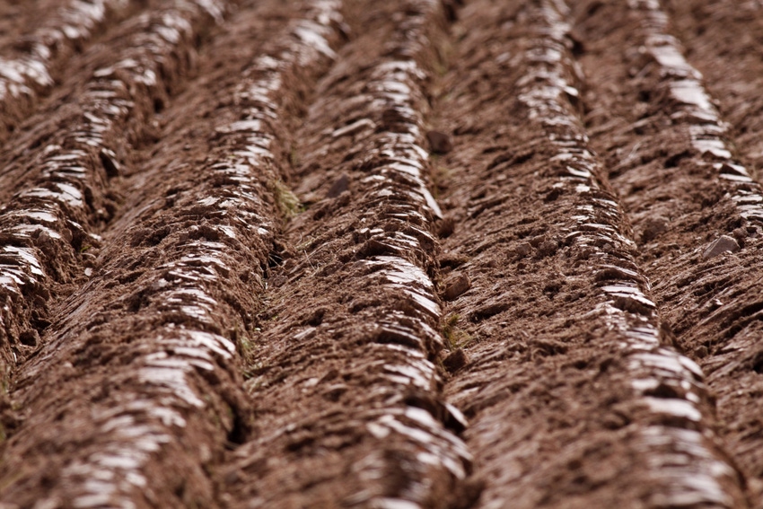 Organic ag keeps more carbon in soil, out of atmosphere