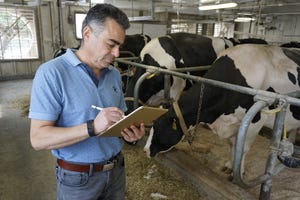 Virtual farm brain to help dairy farmers make smarter decisions