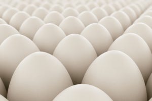 White eggs lined up in neat rows