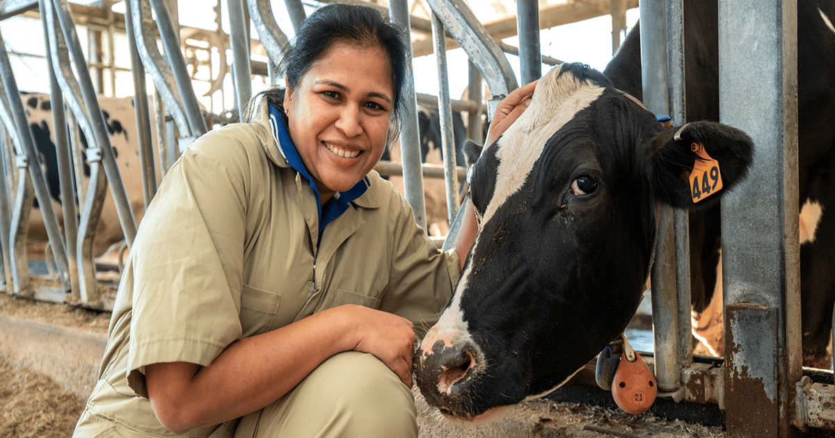 Penn Vet calf and heifer facilities to advance dairy cow health