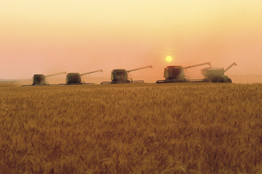 Wheat futures tumble; protein premiums soar