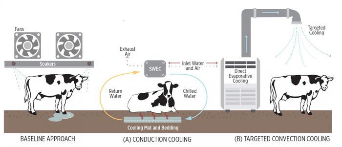 UCDavis_20cow-cooling-approaches_infographic_chanteloah_ucd_1.jpg