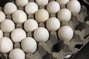 Wholesale egg prices plummet off highs