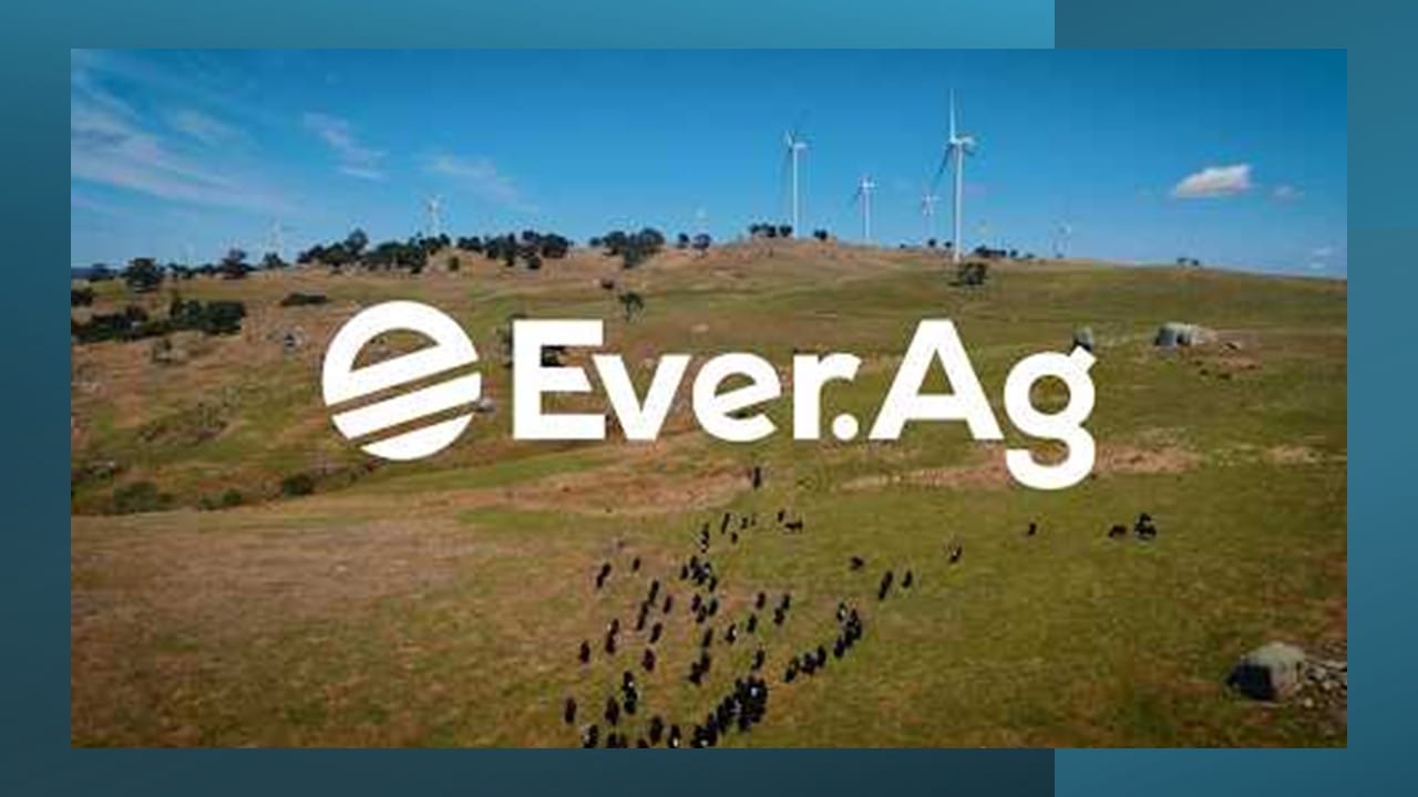 Ever Ag Coles and Ever.Ag partner on smarter meat supply chain