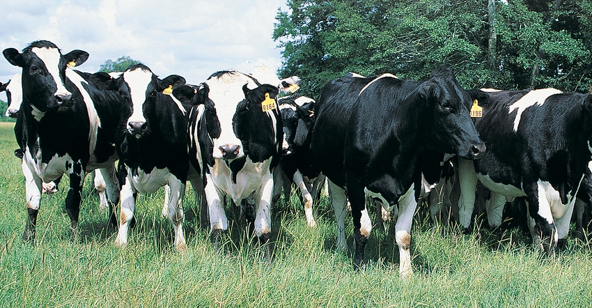Elanco helps dairy producers understand milk production efficiency