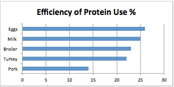 Seven ways to ensure efficient use of protein by dairy cows