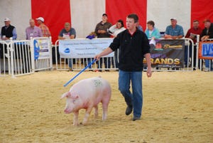 World Pork Expo live hog show to go on