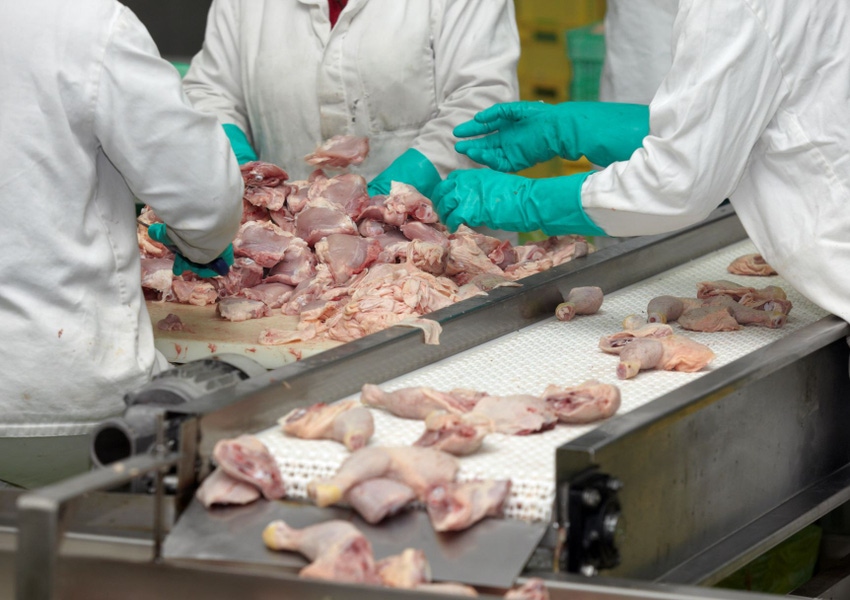 GettyImages-Poultry Processing.jpeg