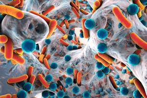 Metagenomics study tracks antimicrobial resistance in Europe