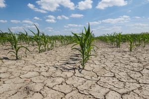 Drought tightens grip on U.S. as El Nino chance increases