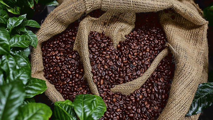 Rising coffee prices a rude awakening for U.S. consumers - Vimarsana News
