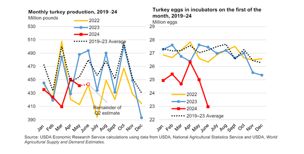 USDA lowers 2024 and 2025 turkey production forecast