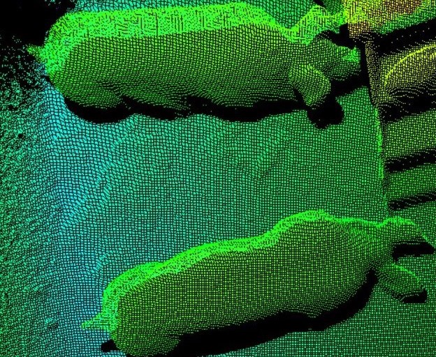 Early warning signs found for tail biting in pigs Early warning signs found for tail biting in pigs