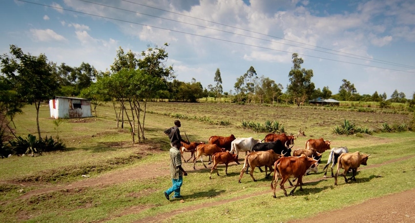 N&H TOPLINE: World Veterinary Day focuses on sustainable development