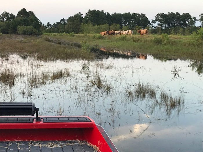 Animal supplies trucked in from all over for Harvey victims in Texas